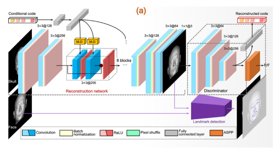 CR-GAN: Automatic craniofacial reconstruction for personal identification.