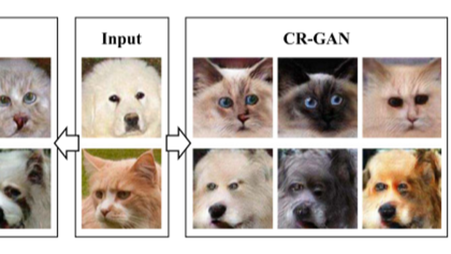 Multimodal Image-to-Image Translation between Domains with High Internal Variability.